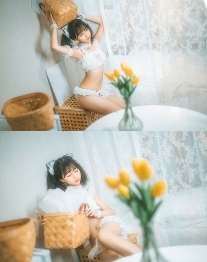 西伯利亚母虎