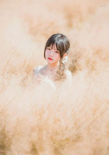 宁安如梦电视剧免费