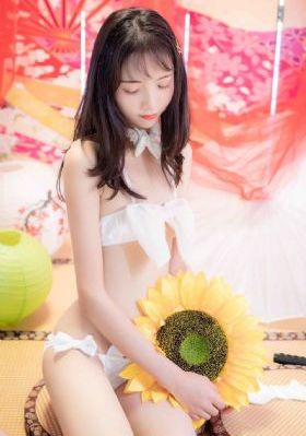 皮得格里尔的贤者时间第一季